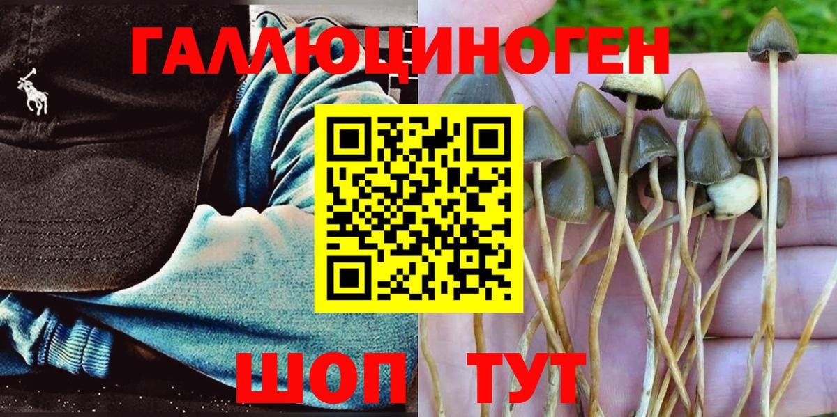Псилоцибиновые грибы мицелий Полевской