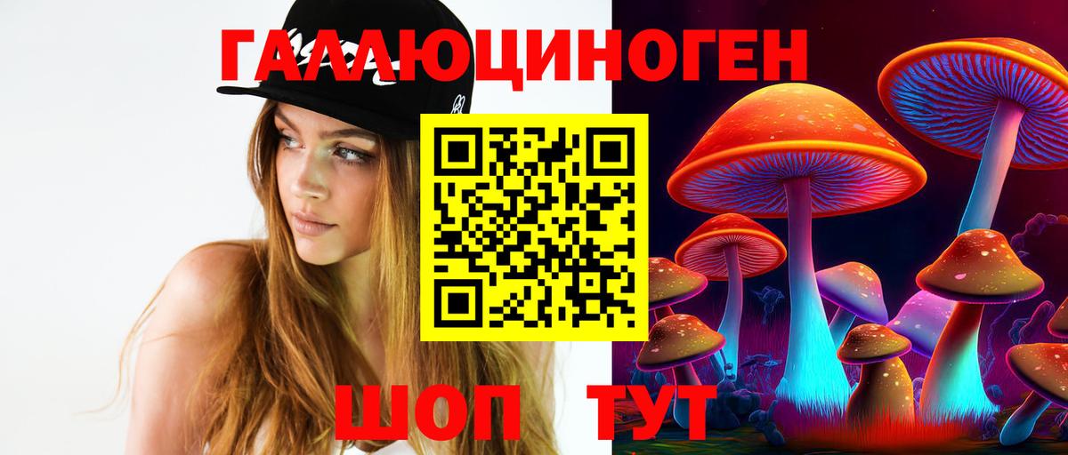 Галлюциногенные грибы Psilocybine cubensis  Вход с VPN  Полевской 